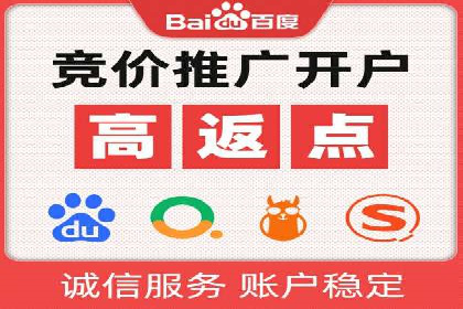 百度竞价与搜索引擎优化（SEO）的协同效应案例